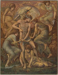 Cupids Jagdfelder