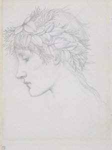 Kopf mit Blättern gekrönt, 1897