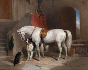 Lieblinge, Eigentum von H.R.H. Prinz George von Cambridge