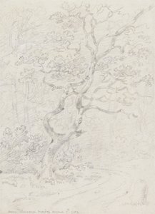 Bäume, nahe Lausanne von Sir George Howland Beaumont seventh Baronet