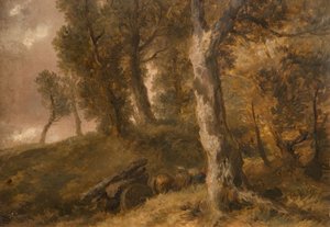 Studie von Bäumen