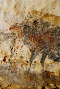 Detail der gravierten Malerei von Pferdeköpfen, Lascaux
