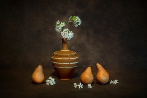 Rustikales Stillleben mit Blüten von Siyu_Wei APA