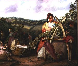 Hopfenpflücker