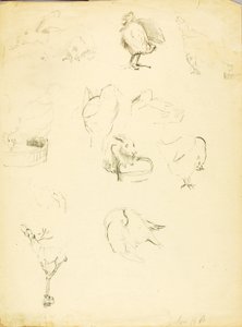 Tierstudien von Solon H. Borglum