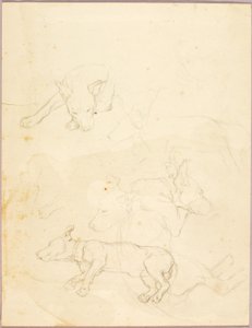 Hunde von Solon H. Borglum