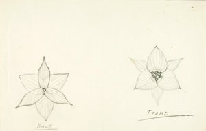 Struktur der Blume von Solon H. Borglum