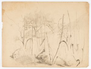 Landschaft