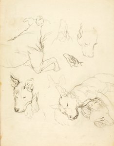 Schlafende Hunde