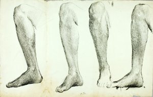 Studie der Anatomie, Nr. 5