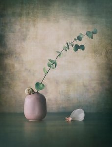 Eukalyptus Schnecke Rosa Vase