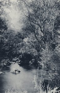 Eine Feenszene, in der Nähe von Witpoortje von South African Photographer