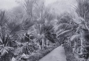 Palm Avenue, Botanische Gärten, Durban