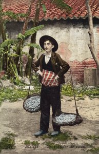 Fischverkäufer, Malaga, Spanien von Spanish Photographer