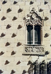 Detail der Außenfassade der Casa de la Conchas von Spanish School