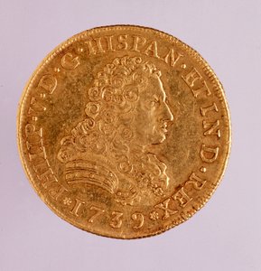 Goldmünze (8 Ecu) aus Spanien: Regierungszeit von Philipp V (1700-1746) von Spanish School