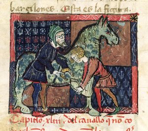 Ms 214 fol.46v Beschlagen eines Pferdes, aus Libro de Menescalcia y Albeyteria von Juan Alvarez, ca. 1390