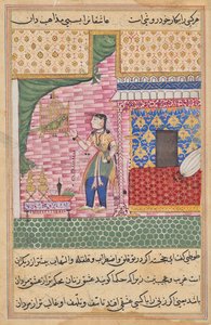 Der Papagei spricht Khujasta zu Beginn der siebzehnten Nacht an, aus einem Tuti-nama (Geschichten eines Papageis) von Sravana