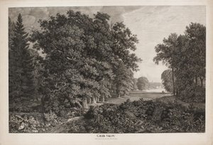 Grib Skov mit Blick über den Esrum-See nach Fredensborg von Søren Henrik Petersen