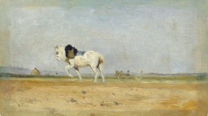 Ein Pflugpferd auf einem Feld