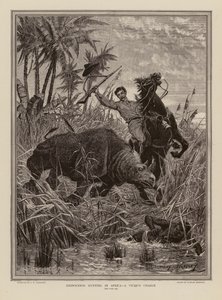 Nashornjagd in Afrika von Stanley (after) Berkeley