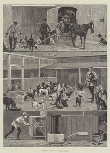 Skizzen im Hundeheim, Battersea