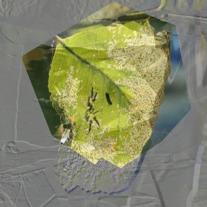 Abstraktes Grünes Blatt