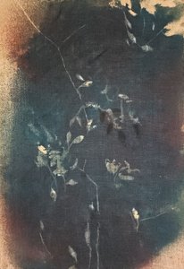Dunkelblaue Botanicals