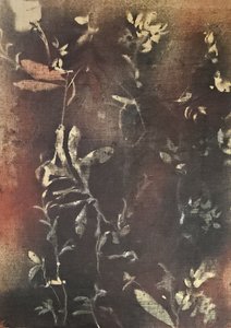 Dunkle Botanische Formen