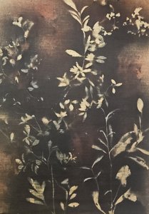 Dunkle Botanische Silhouetten