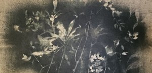 Dunkle Botanische Studie