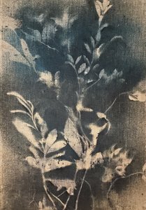 Ätherische Blaue Botanicals