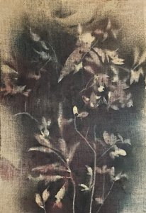 Verblasste Botanische Formen