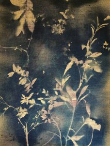 Leuchtendes Indigo-Laub