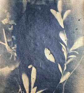 Indigo-Blatt-Impressionen