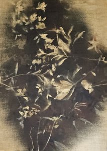 Stimmungsvolle Blütenschatten