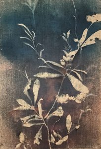 Vintage Blaue Botanicals