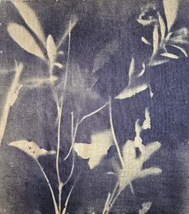 Vintage Botanische Blues
