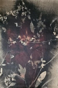 Vintage Botanisches Verblassen