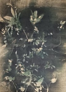 Botanische Schatten im Vintage-Stil
