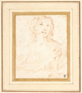 Eine junge Frau, Halbfigur