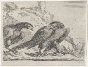 Adler nach rechts laufend, zurückblickend auf anderen Adler (Adler-Serie) von Stefano della Bella