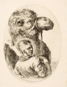 Junge hält ein Kamel am Zügel, aus Plusieurs Têtes Coiffées à la Persienne, ca. 1650