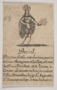 Brasilien von Stefano della Bella