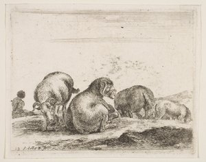 Tafel 12: Schafe und Widder auf einer Weide, aus Verschiedene Tiere, ca. 1641 von Stefano della Bella