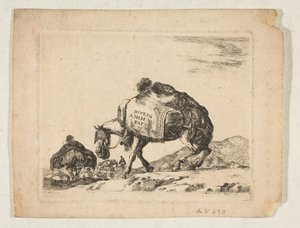 Pferd mit Packtaschen