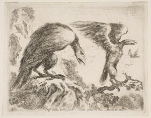 Tafel 2: Adler und Adlerjunges, aus Verschiedene Tiere, ca. 1641 von Stefano della Bella