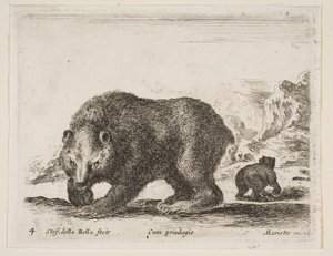 Tafel 4: Bär, aus 