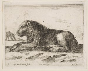 Tafel 5: liegender Löwe, aus Verschiedene Tiere Diversi animali, 1641
