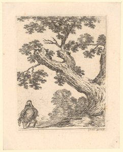 Reiter in Rückenansicht unter einem großen Baum von Stefano della Bella
